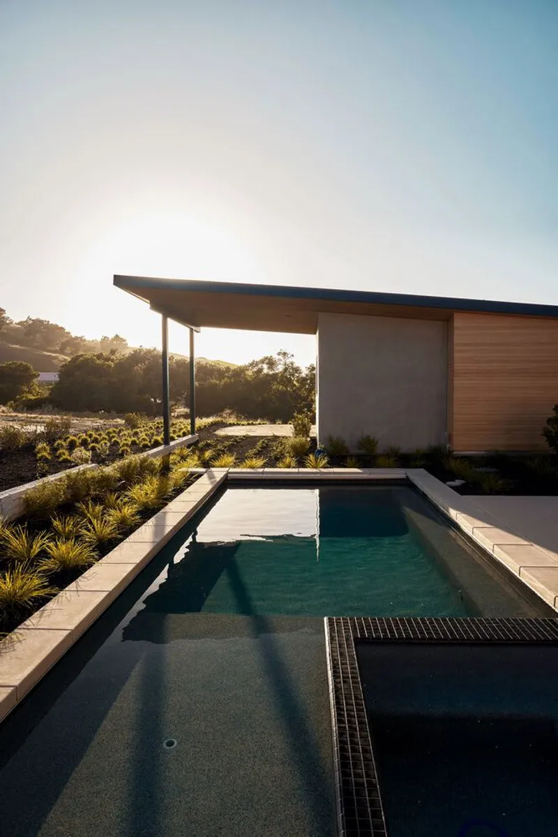 Swimming pool with cantilever roof casting shadows at golden hour beside native plantings