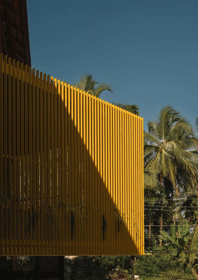 Yellow vertical timber slat screen with palm trees behind in afternoon light
