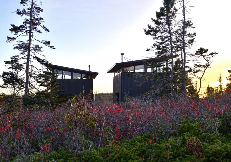Two dark-clad volumes with clerestory windows rising above autumnal shrubs and pine trees at sunset