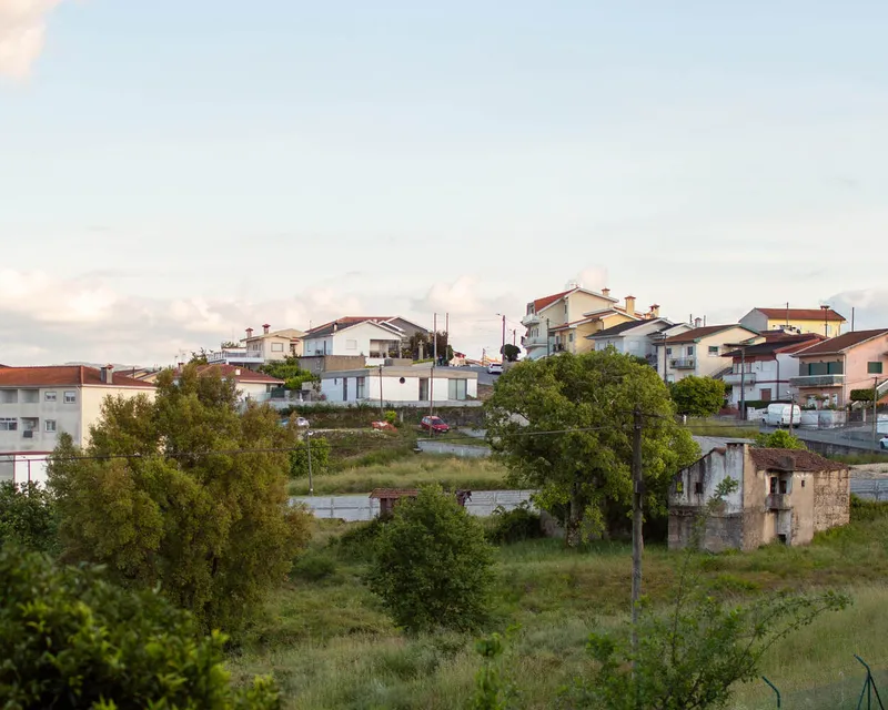 Site view of the overgrown foreground with older structures and residential neighborhood ascending the hillside at dusk