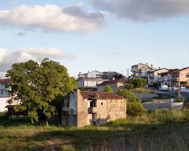 Abandoned farmhouse with tile roof and mature oak tree set against newer suburban houses in late afternoon light