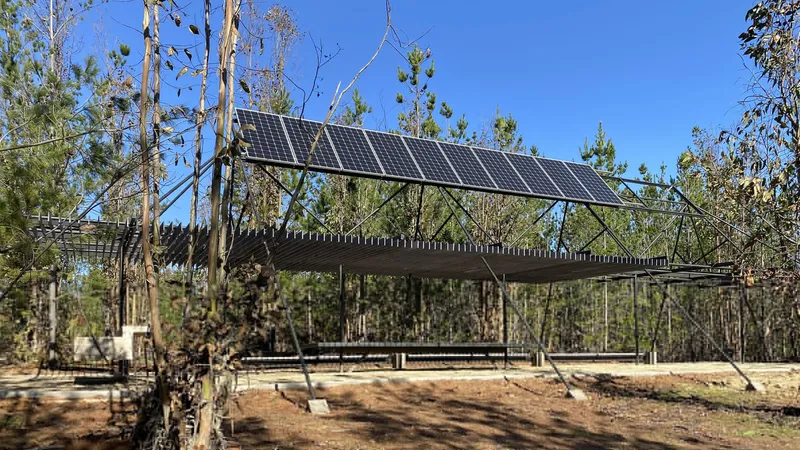 Solar panel array mounted on an elevated steel frame structure in a cleared forest setting