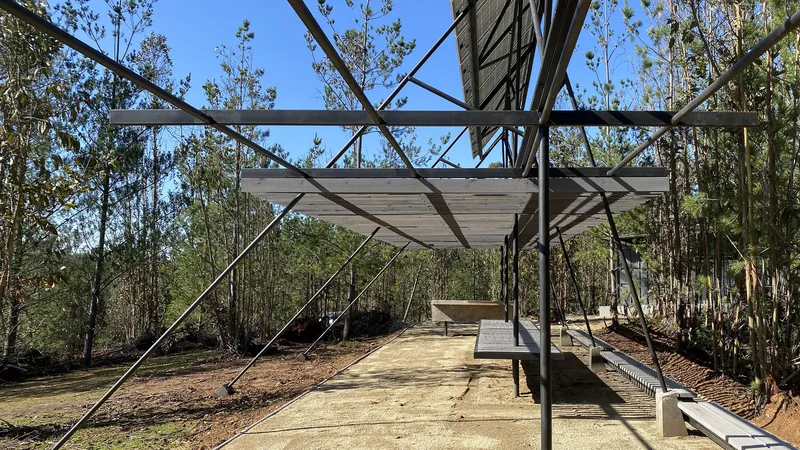 Underside view of the steel truss framework with diagonal bracing against bare trees