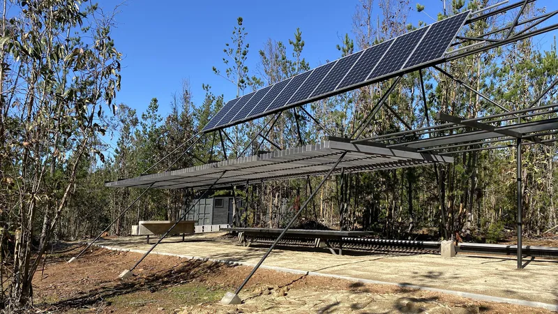 Long view of the pavilion showing solar panels, steel frame, and concrete pad among pine trees