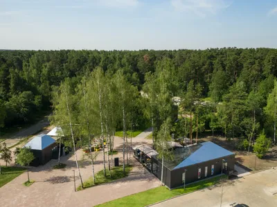 Malevich Park: A Fusion of Art, Nature, and Modern Landscape Design