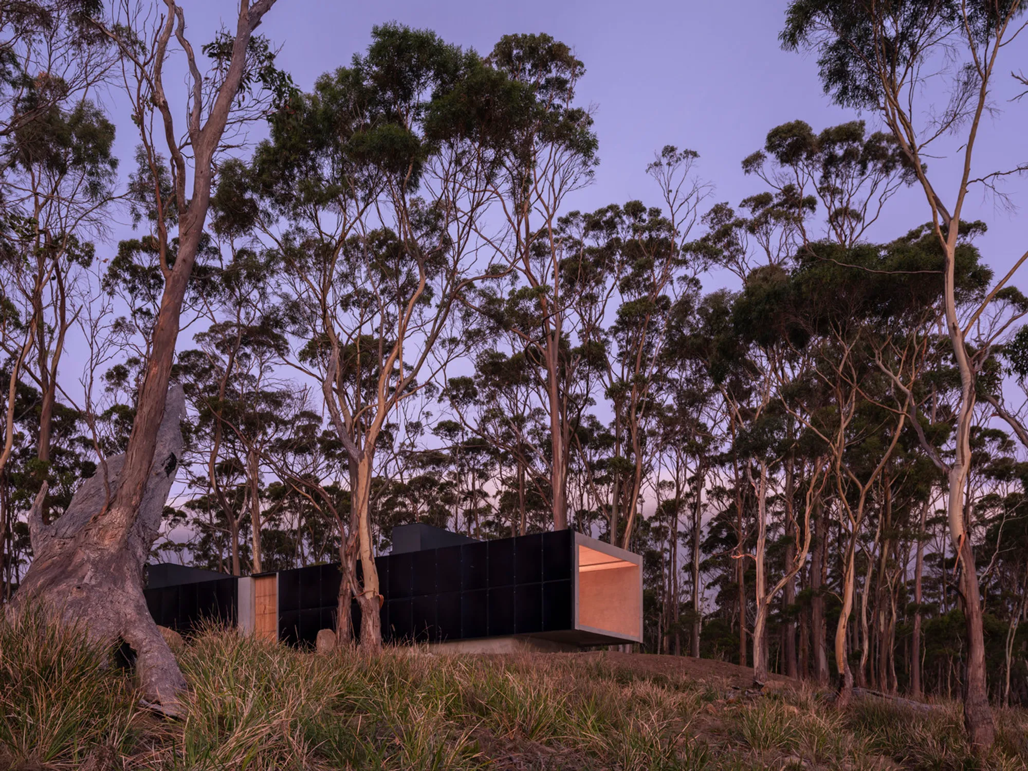 Vipp Tunnel Tasmania Guesthouse: A Masterpiece in Sustainable Architecture Design