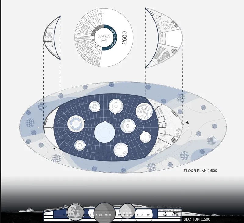 Floor plan and section drawings showing the oval form with central circular exhibits and perimeter circulation
