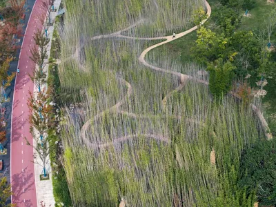 20 Most Popular Landscape Design Projects of 2025