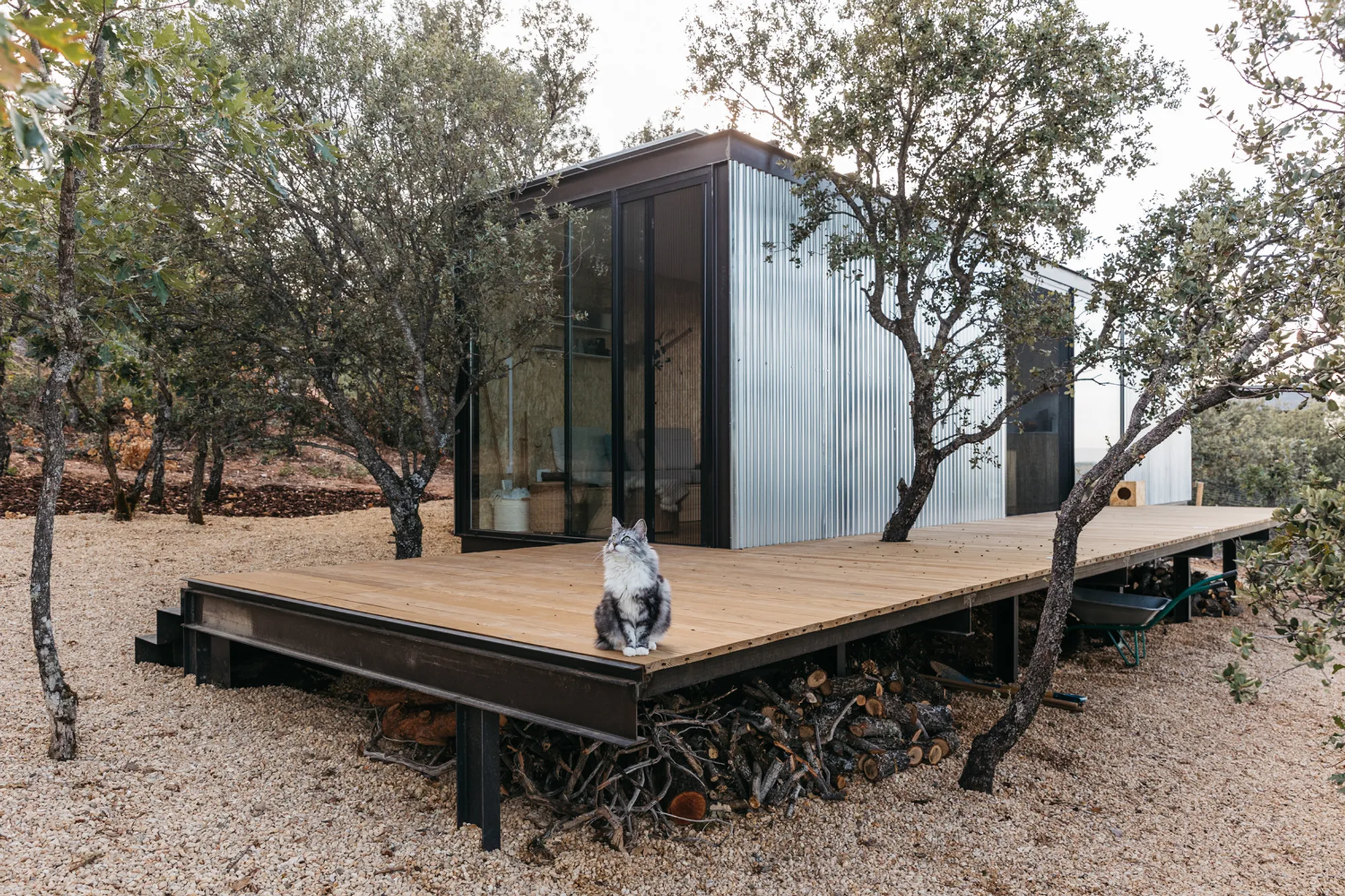 Tini L Cabin: A Sustainable Retreat in the Heart of Nature