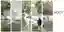 ROOT: Landscape Architecture as a Living Metaphor for Aging Societies