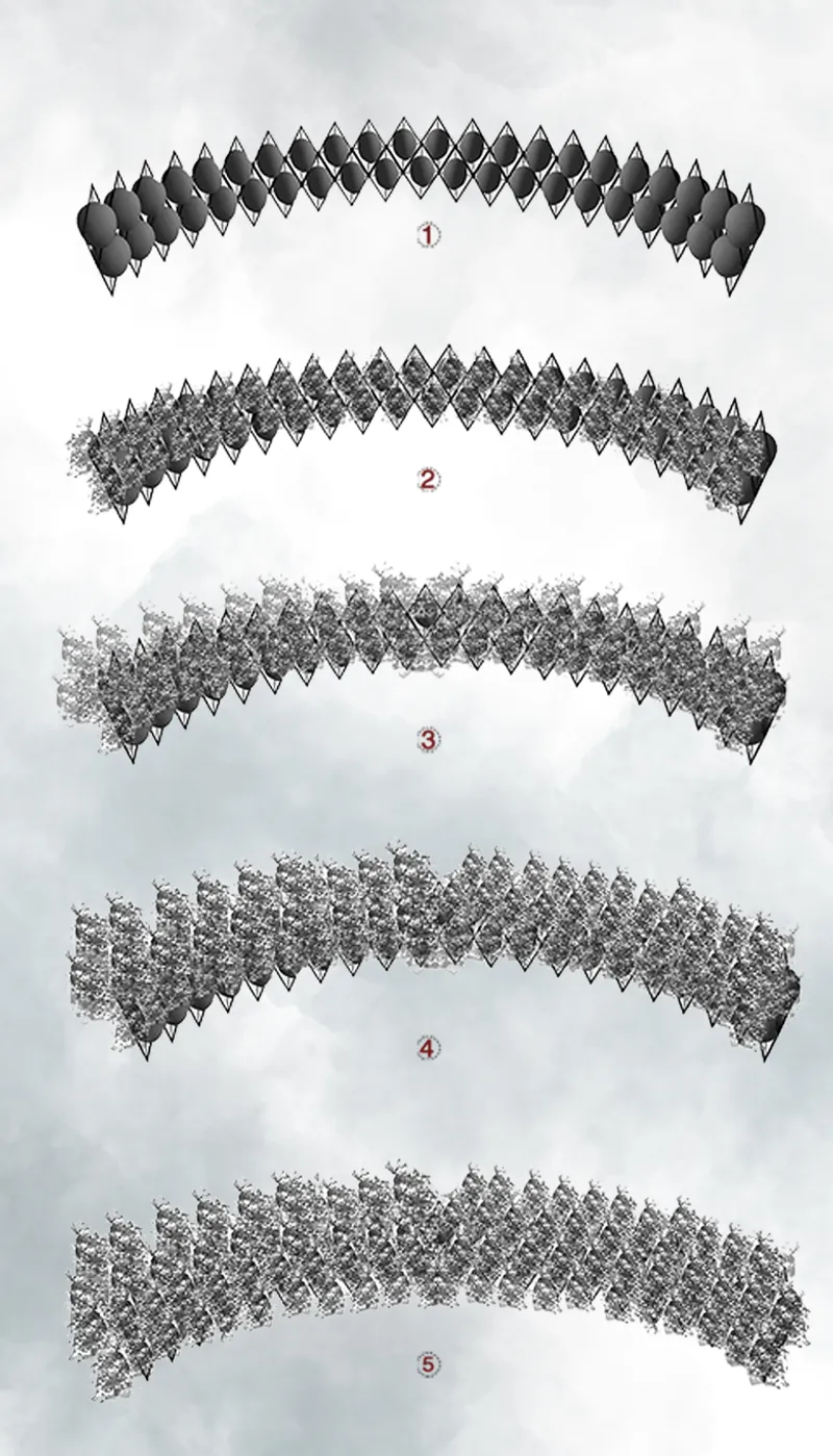 Axonometric drawing showing five progressive stages of a curved structural lattice assembly from minimal to dense
