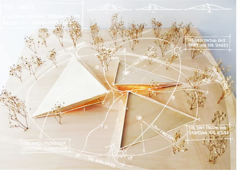Physical model with folded planes and dried plant material indicating landscape orientation and solar exposure