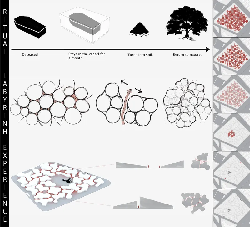 Diagram showing ritual and experiential stages from deceased vessel to soil transformation and tree growth