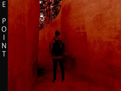 Escape Point: Where the Dead Become Soil and the City Gains a Park