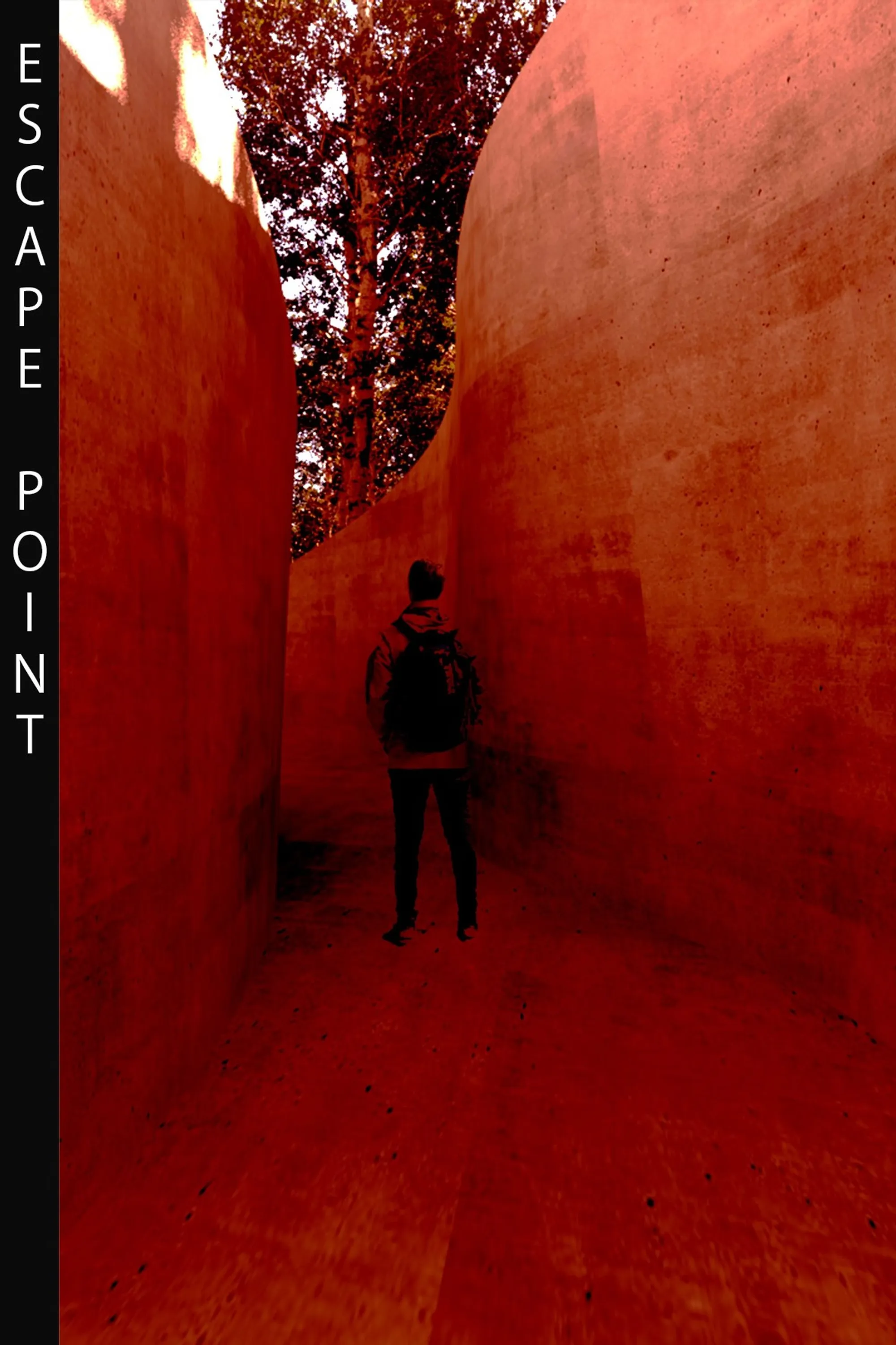 Escape Point: Where the Dead Become Soil and the City Gains a Park