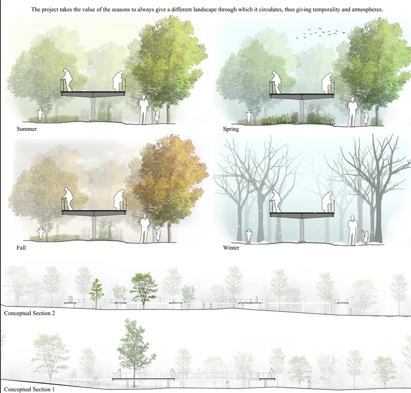 Section drawings illustrating the elevated walkway through four seasons and two longitudinal site configurations
