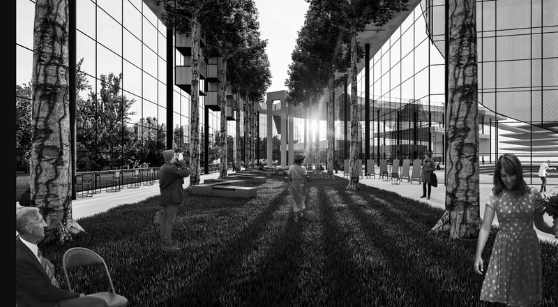 Glass corridor with birch trees casting long shadows from low sun as pedestrians move through space