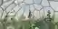Warm for Elders: Greenhouse Domes and Garden Rooms for Munich's Aging Population
