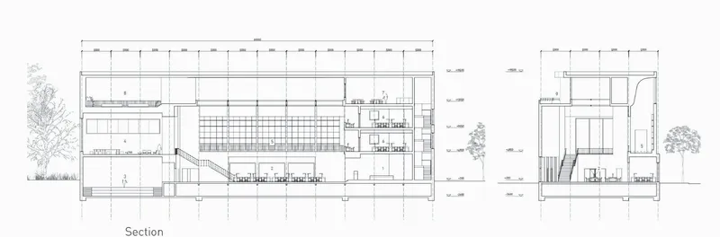 Section drawing revealing the multi-level interior with stacked reading rooms and exterior trees