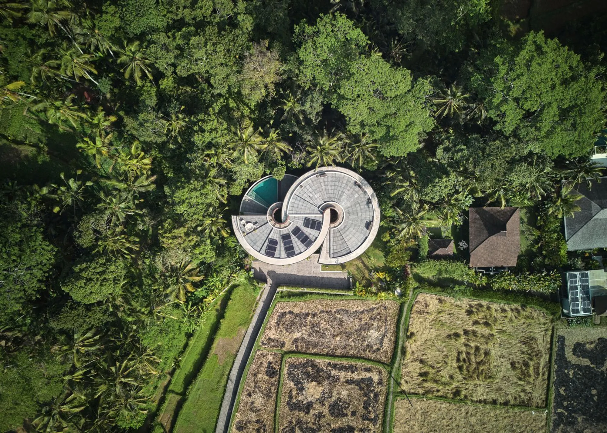 The Loop Residence by Alexis Dornier: A Masterpiece of Organic Architecture in Bali’s Jungle