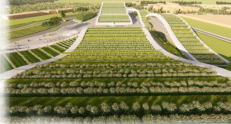 Aerial view of agricultural fields arranged in linear rows with curved pedestrian pathways between planted beds