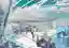 The image depicts the interior of a modern greenhouse with a steel and glass roof structure. The spa