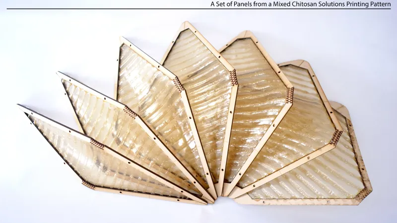 Overhead view of fan-shaped chitosan panels with ribbed surface texture arranged in a radial pattern