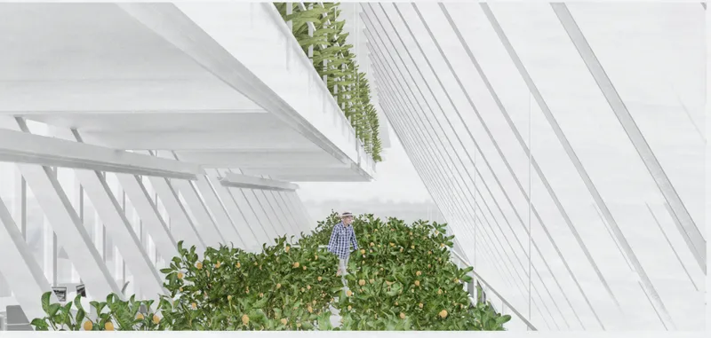 Section rendering showing person tending raised planting beds beneath angled white structural ribs and glazing