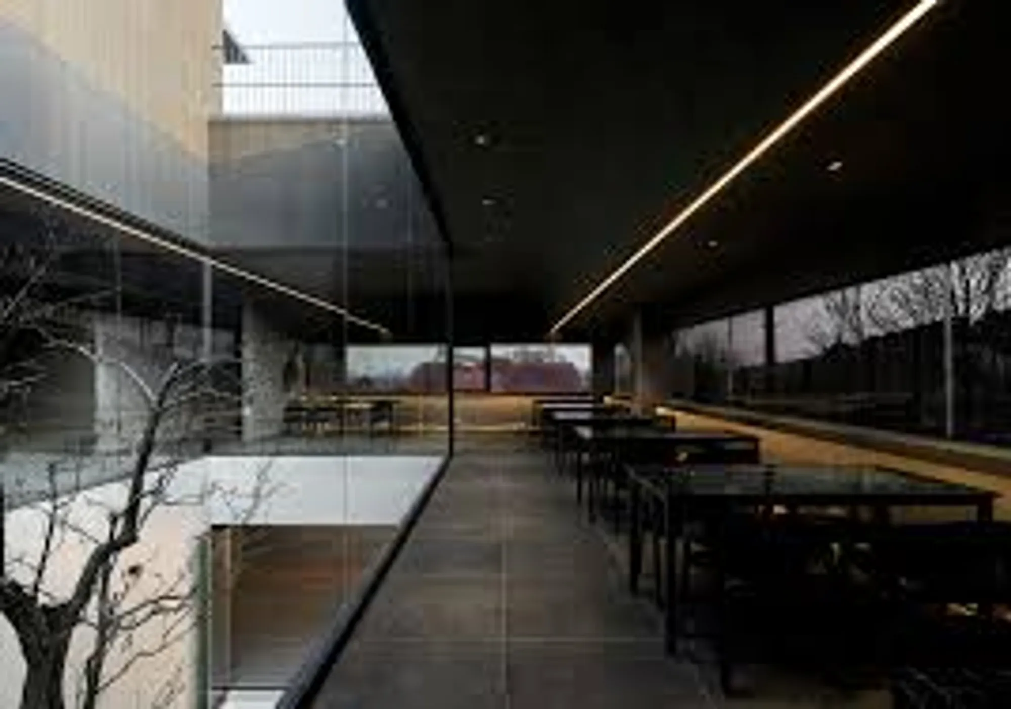 Dark and Light Restaurant: A Journey of Contrast by Plainoddity
