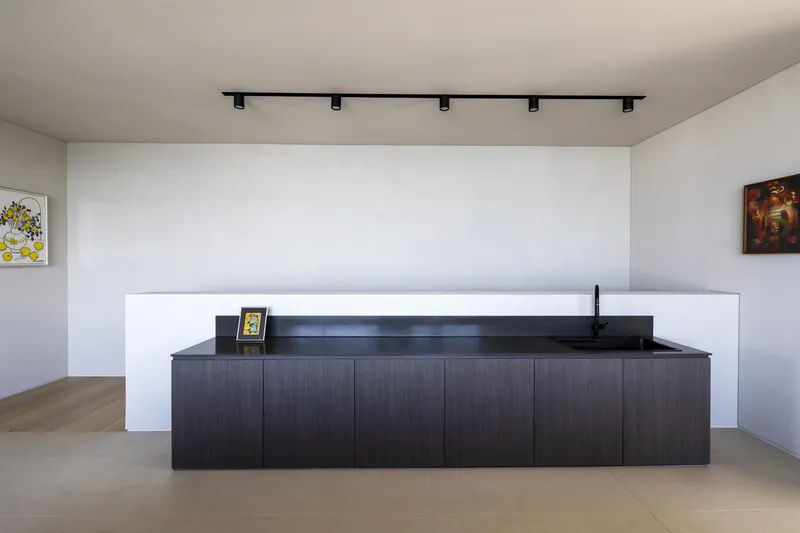 Dark timber kitchen island with integrated sink beneath a black track light rail and white walls