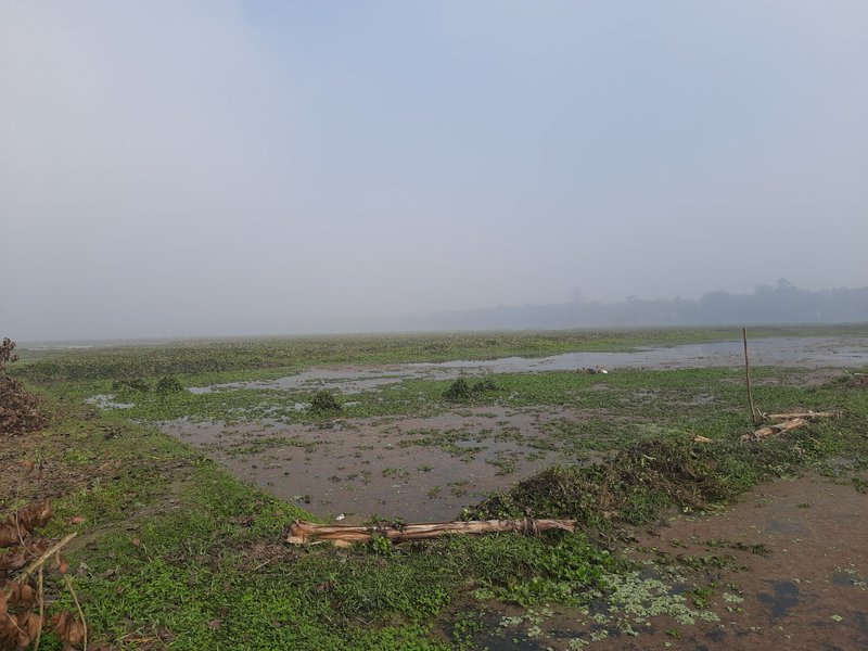 Site Condition