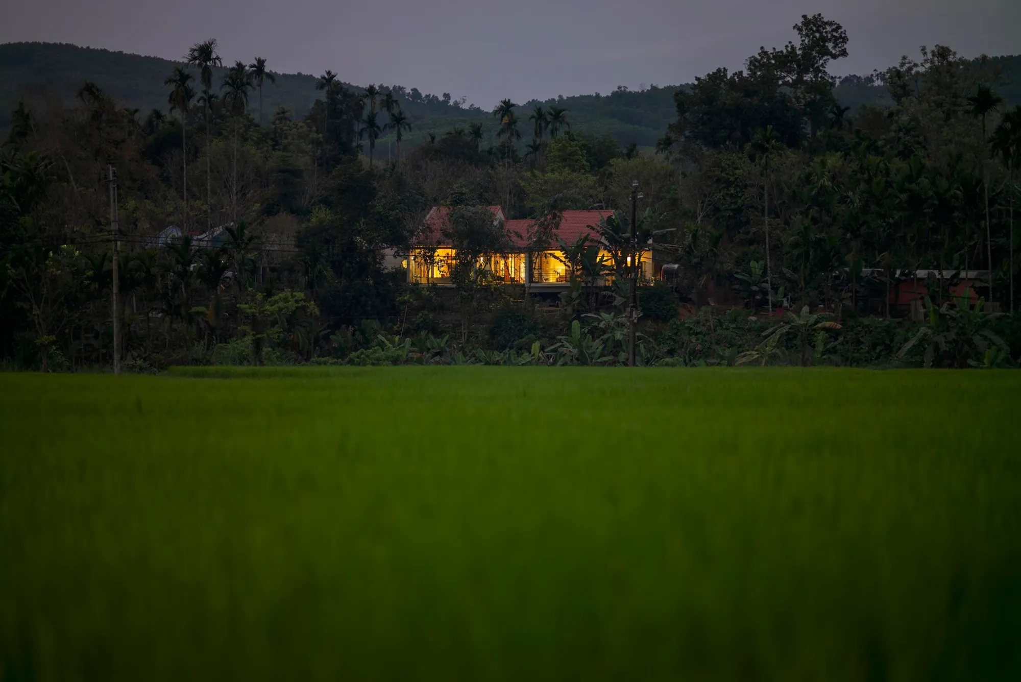 Tiên Cẩm House by K.A.N Studio + BOW.atelier: Harmonizing Architecture with Nature