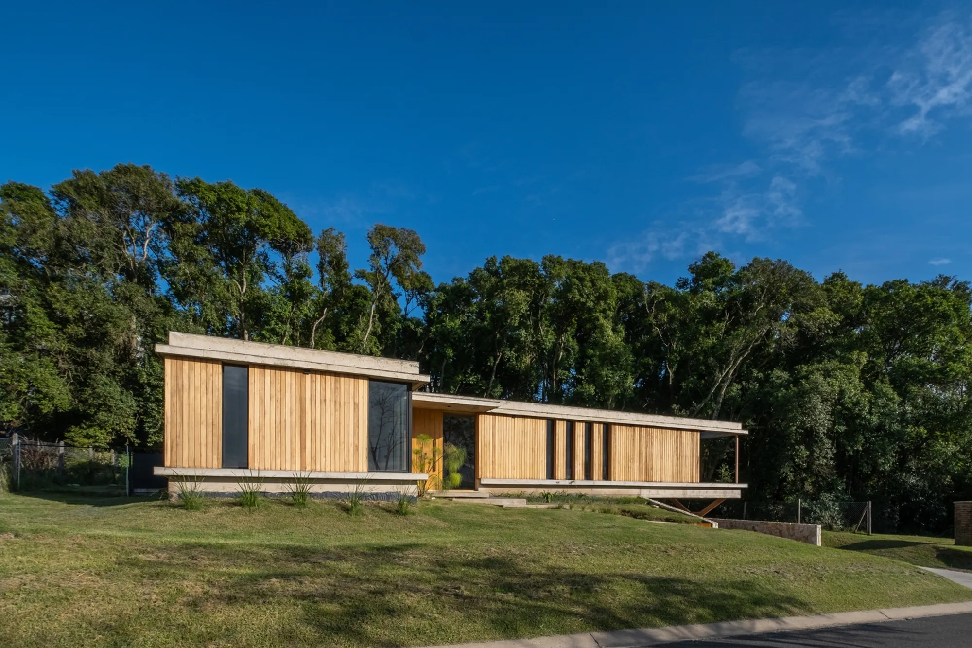 House F by Florencia Cheli: Harmonious Forest Living in Zárate, Argentina