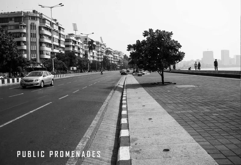 Wide pedestrian promenade with paved walkway, street trees, and apartment buildings under hazy morning light