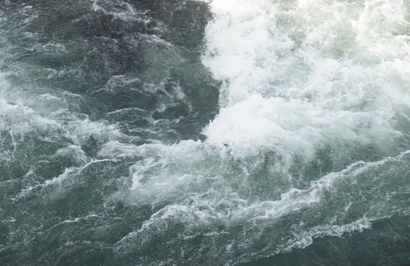 Flow of life