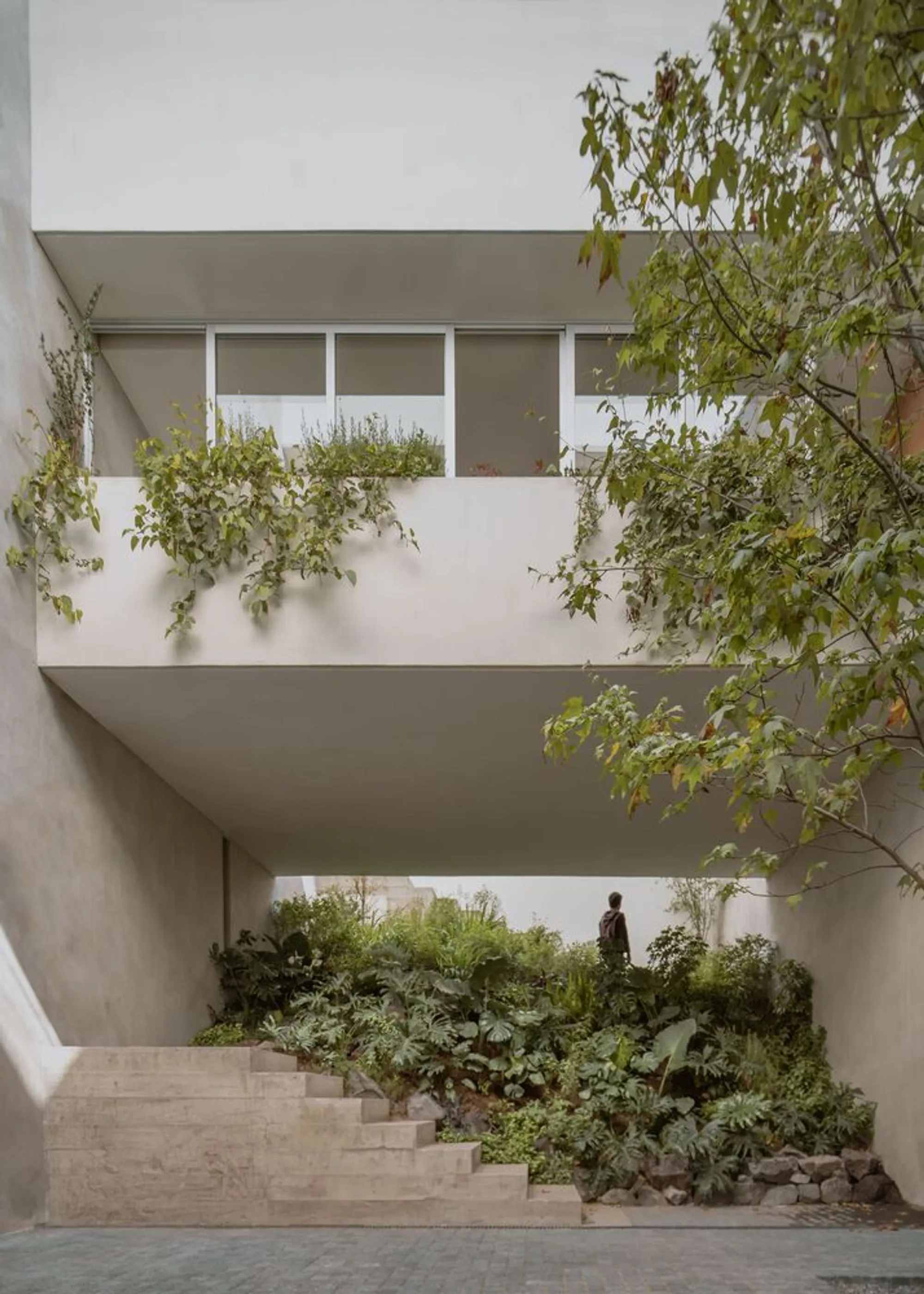 Cañada House by Escobedo Soliz – Contemporary Living Integrated with Nature in Naucalpan de Juárez, Mexico