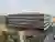 Hortus Allschwil by Herzog & de Meuron: A New Benchmark in Sustainable Office Architecture