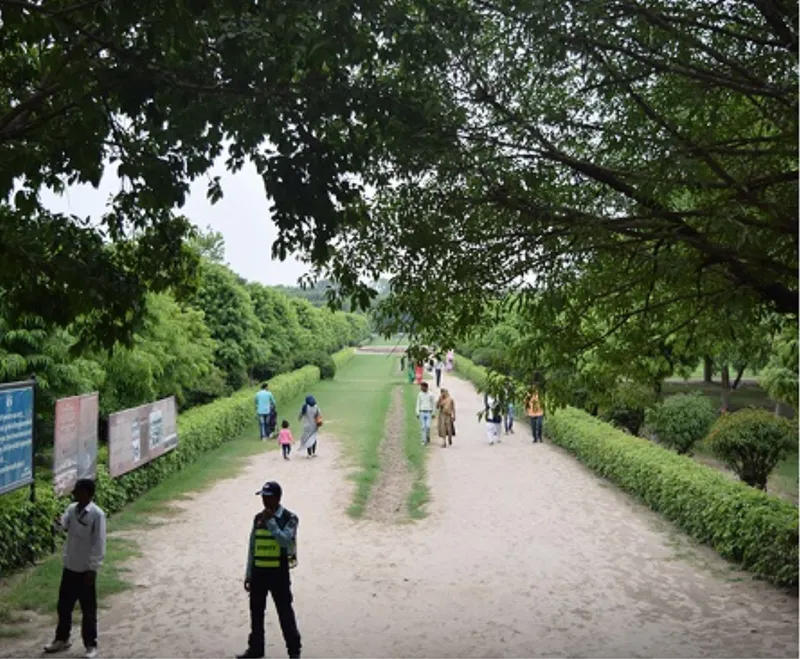 Tree-canopied pathway flanked by hedges with visitors walking under overhanging branches
