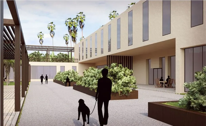Courtyard view with raised planted beds and slatted facade under palm trees