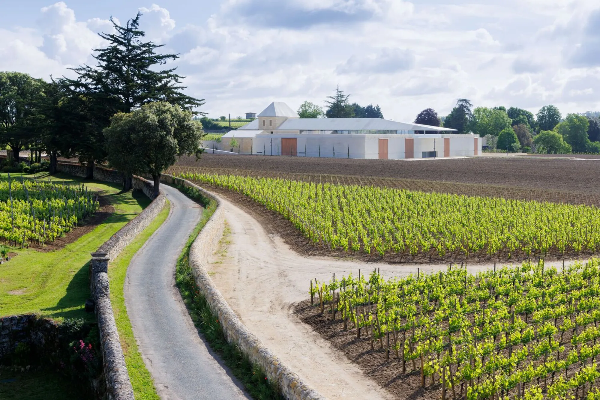 Winery Bélair-Monange by Herzog & de Meuron