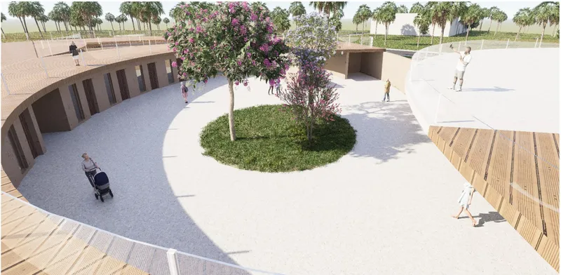 Sunken courtyard with circular planted bed and tree surrounded by white pavement and timber decking