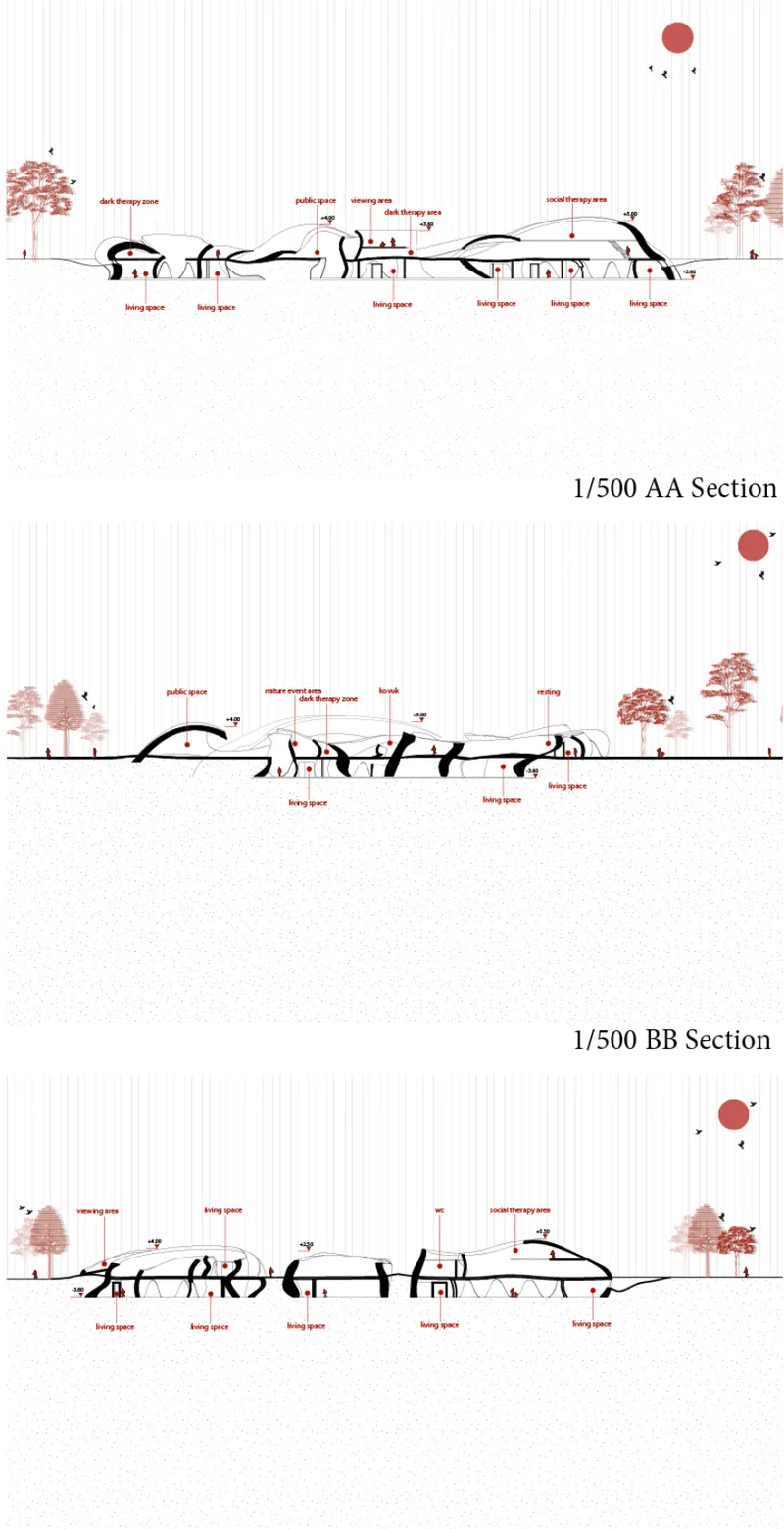 Section drawings showing the interior profiles of interconnected shell structures with trees and human figures