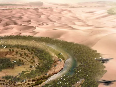 The Green Eye of Sahara: Engineering Oases as Prototypes for Desert Cities