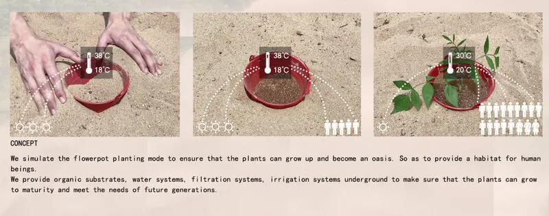 Three-panel diagram showing hands planting in containers on sand with temperature indicators and growing vegetation