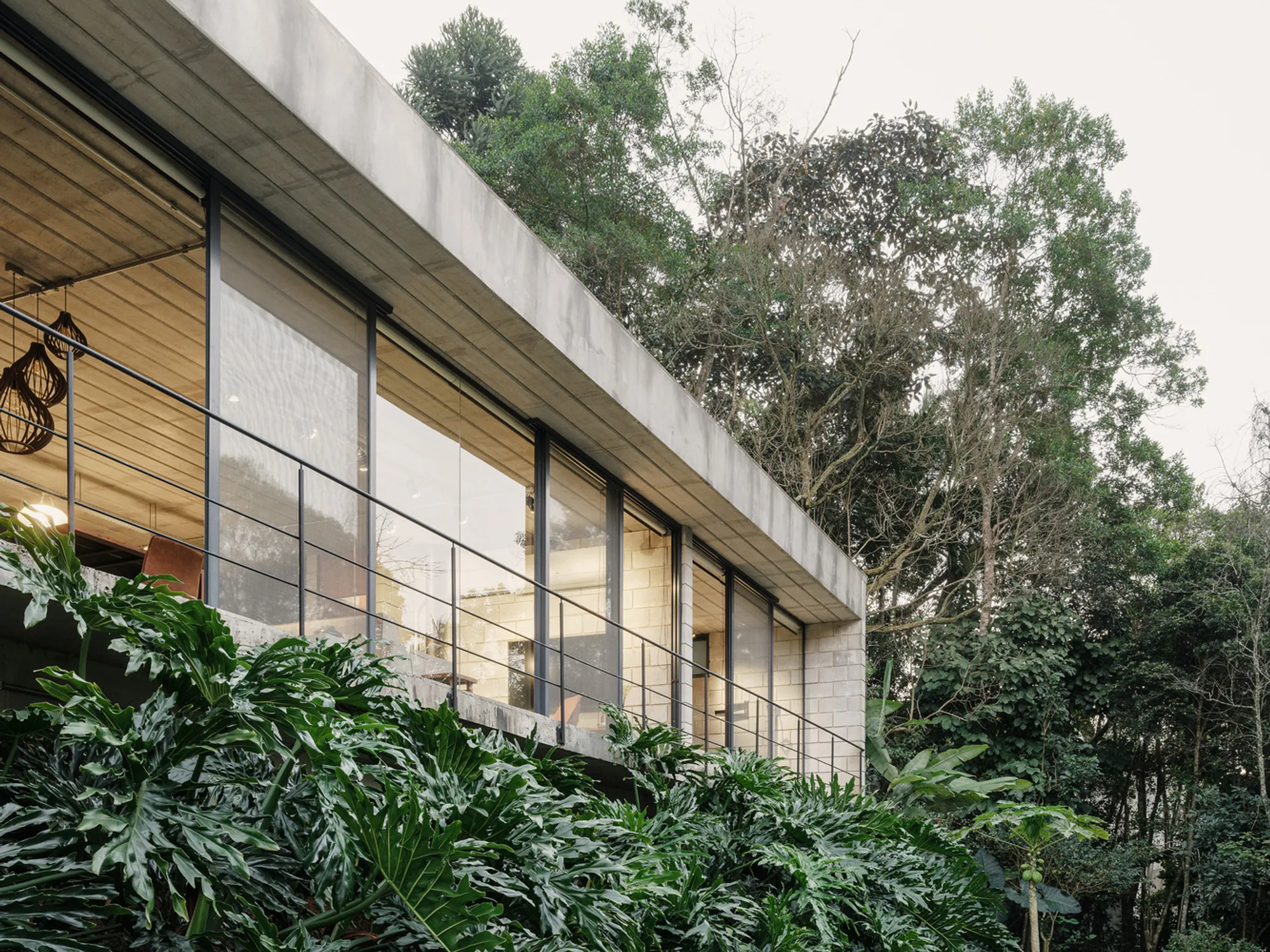 Lírio House by Terra e Tuma Arquitetos Associados: A Concrete Sanctuary in the Atlantic Rainforest