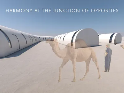 Harmony at the Junction of Opposites: Penrose Geometry Meets Desert Habitat
