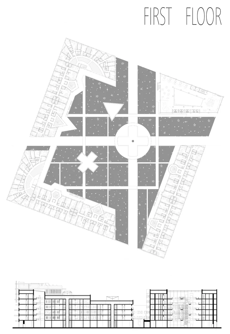 First floor plan and elevation drawings depicting the planted roof zones with white circulation paths between them