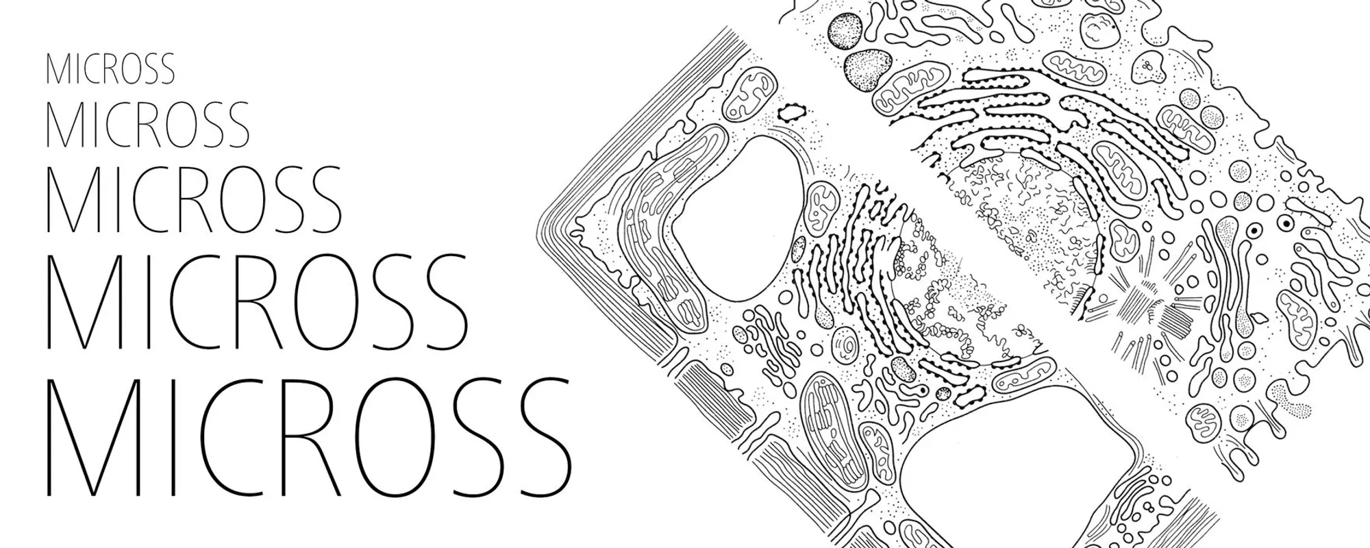 MICROSS: Co-Living as a Living Organism in the Urban Grid