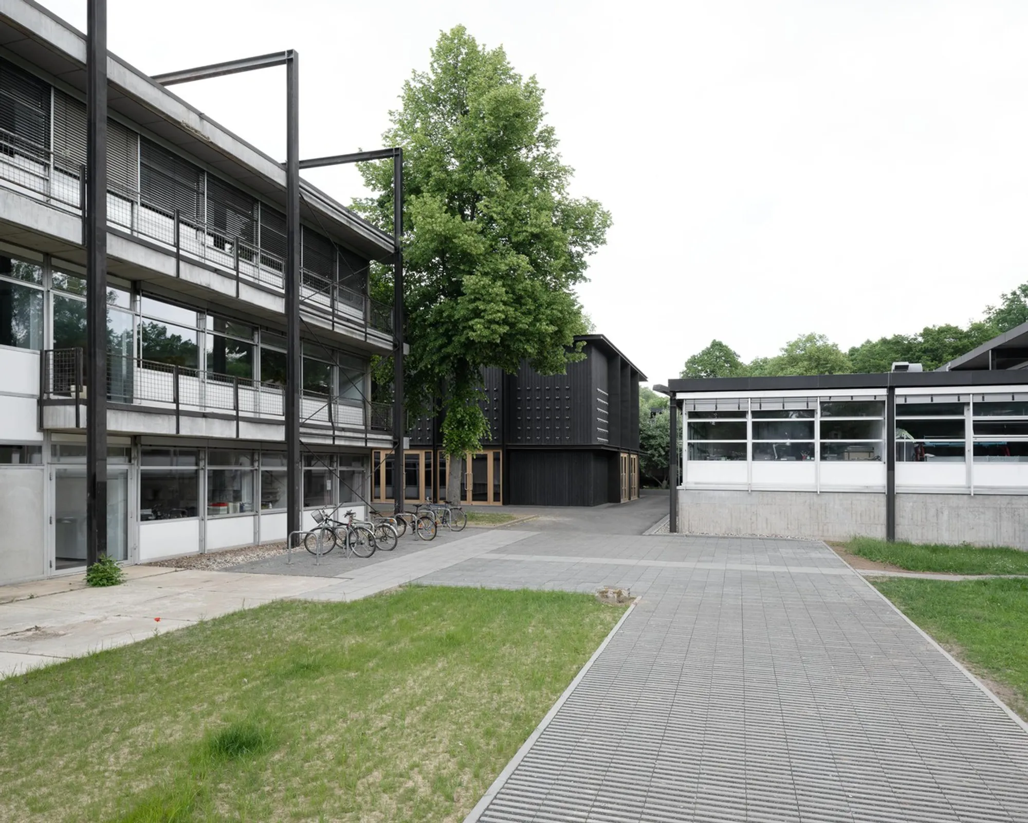 Exhibition Hall Kassel: A Contemporary Wooden Pavilion by Innauer-Matt Architekten