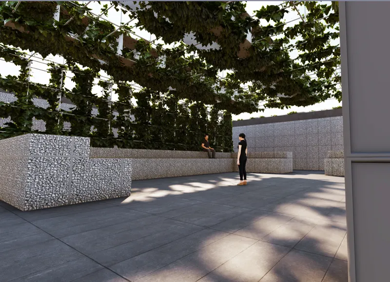 Courtyard with gabion planter walls beneath a vine-covered pergola as two figures stand in shade